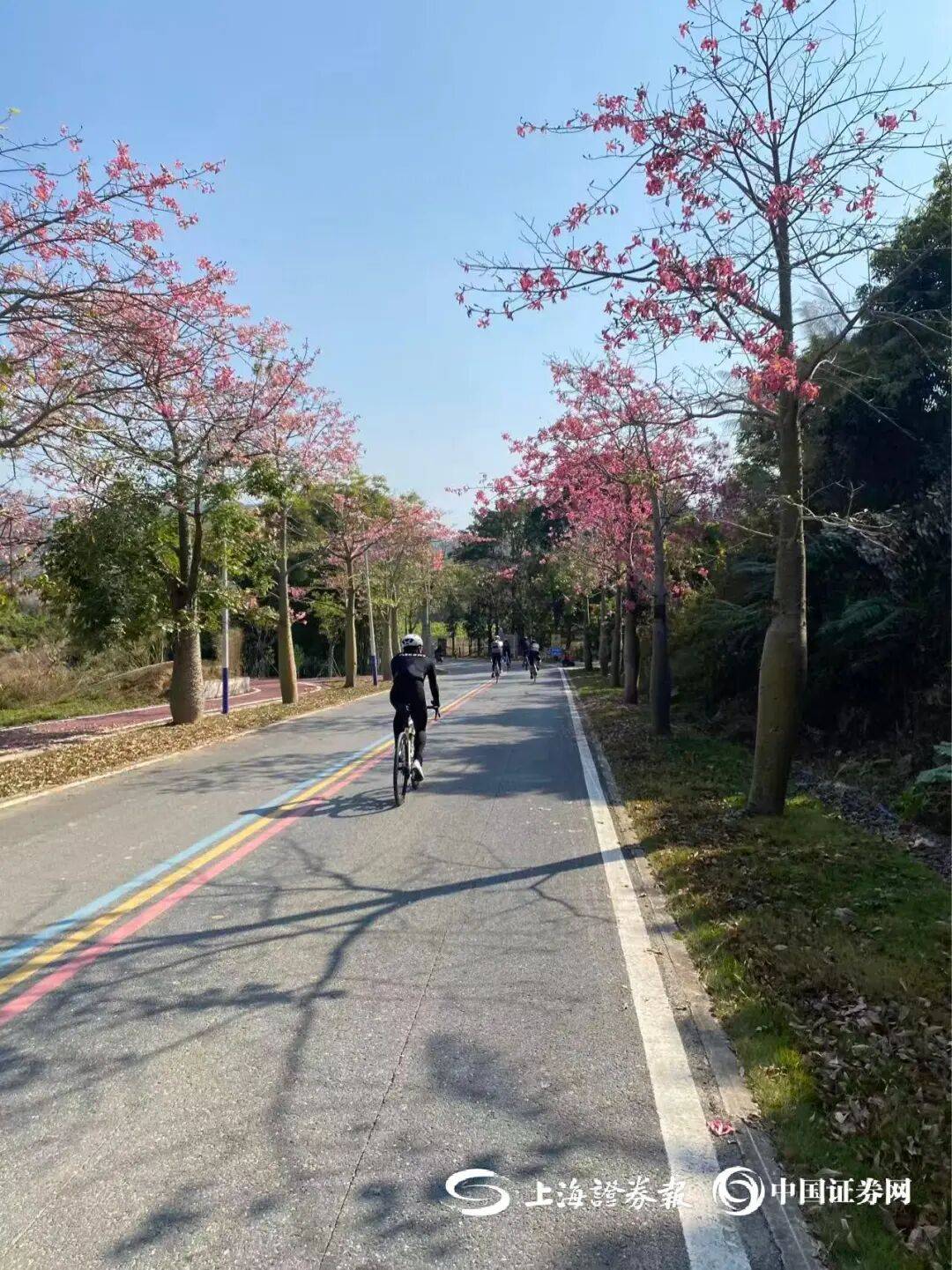 期文旅市场火热新葡京元旦假(图8)